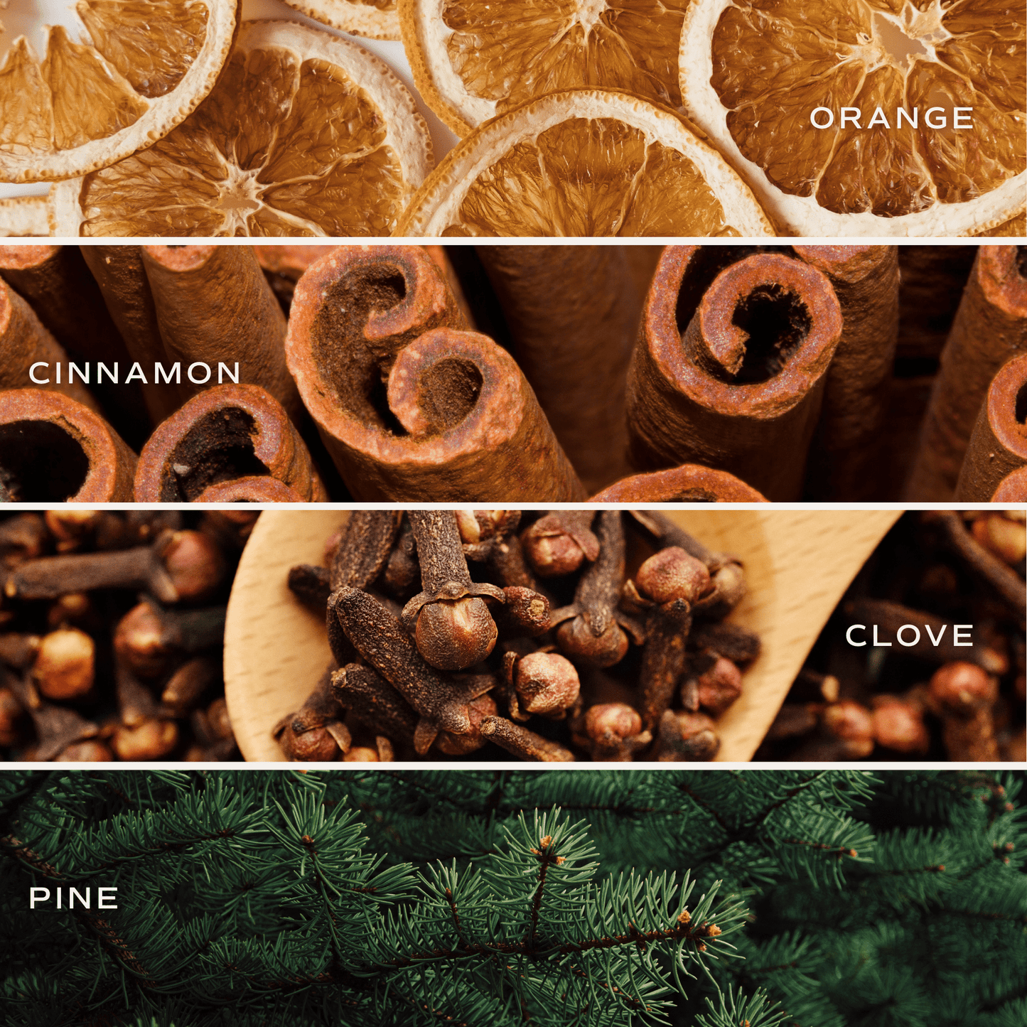 Warm and Cozy Reed Diffuser