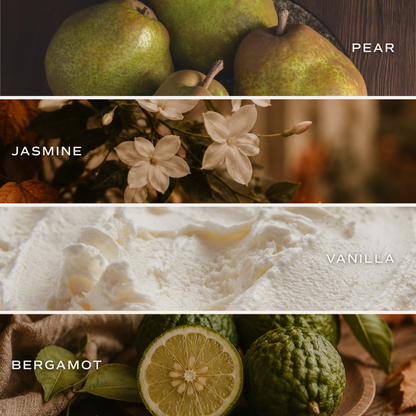 Pumpkin Jar Soy Candle - Cashmere and Vanilla