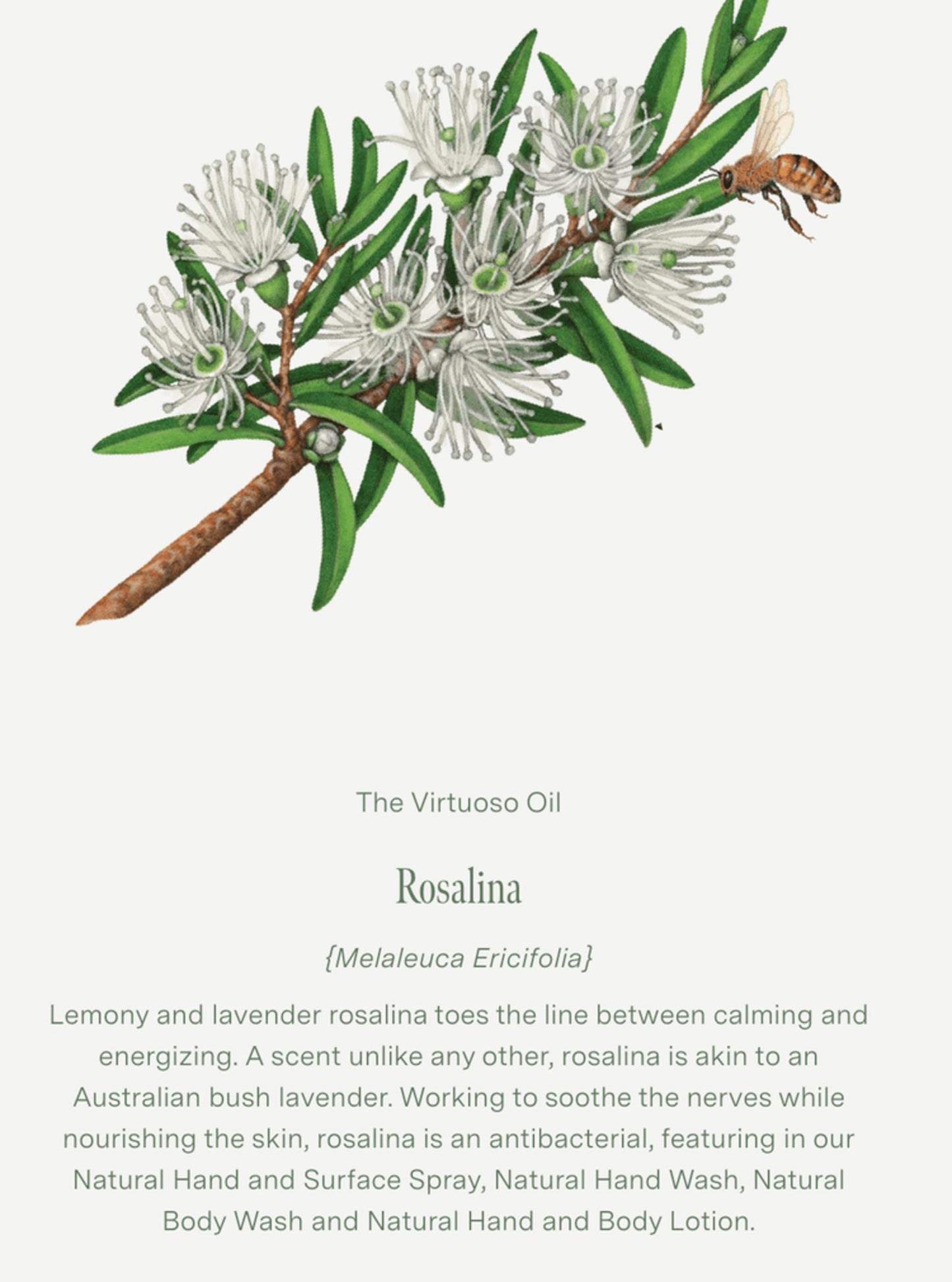 Eucalyptus, Peppermint & Rosalina Pillow & Linen Spray