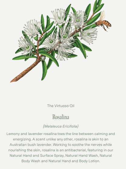 Eucalyptus, Peppermint & Rosalina Pillow & Linen Spray