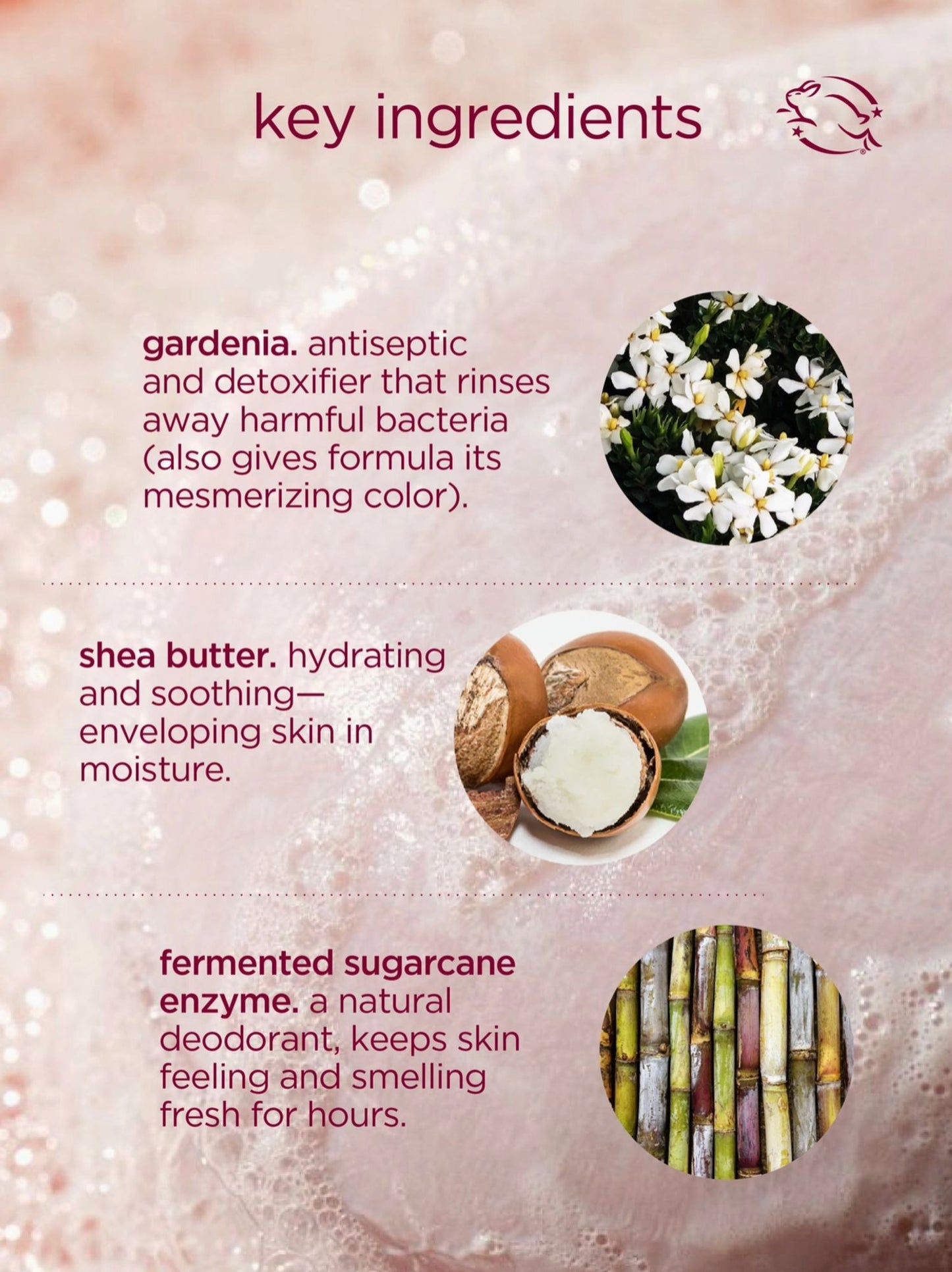 Hanni Cocoon Cleanse | Solid Serum Cleanser