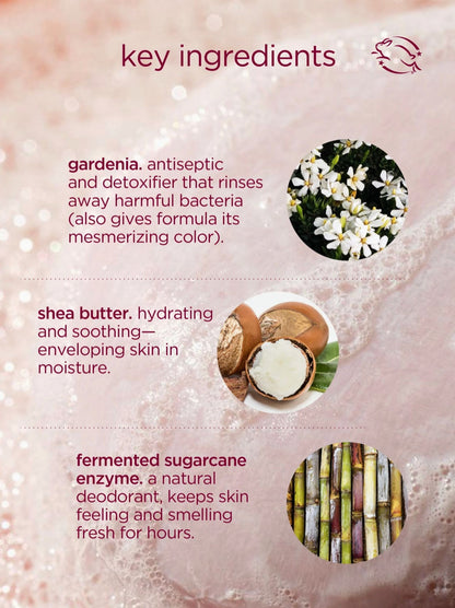 Hanni Cocoon Cleanse | Solid Serum Cleanser