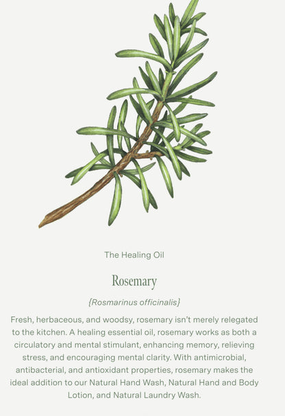 KOALA ECO Lemon Scented Eucalyptus & Rosemary Hand Wash