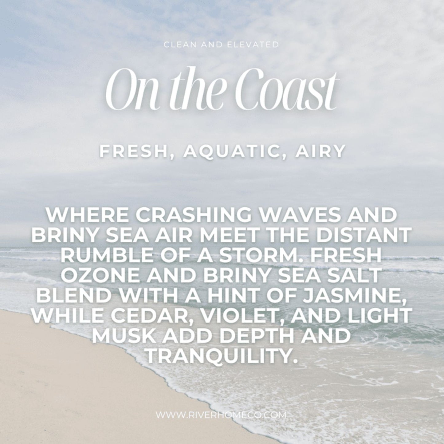 On the Coast Launderee | Tallow-based Laundry Soap LIMITED EDITION SCENT