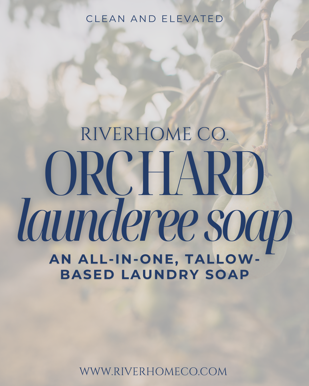 Orchard Launderee | Tallow-based Laundry Soap